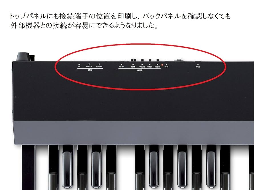Amazon.co.jp: HAMMOND ハモンド MIDIペダルボード XPK-200G