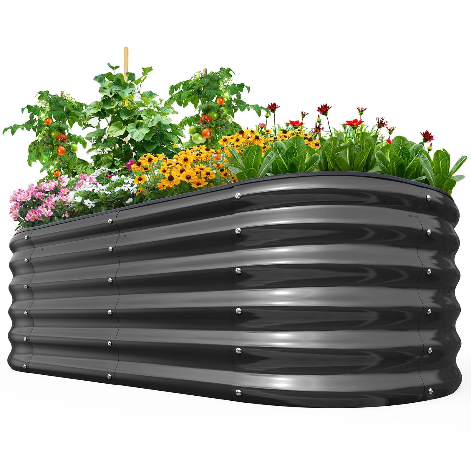 Galvanized Raised Garden Bed 6x3x1 Ft Metal Planter Box For Vegetables Bottomless For Backyard Outdoor Include 1 Tomato Cage Dark Grey