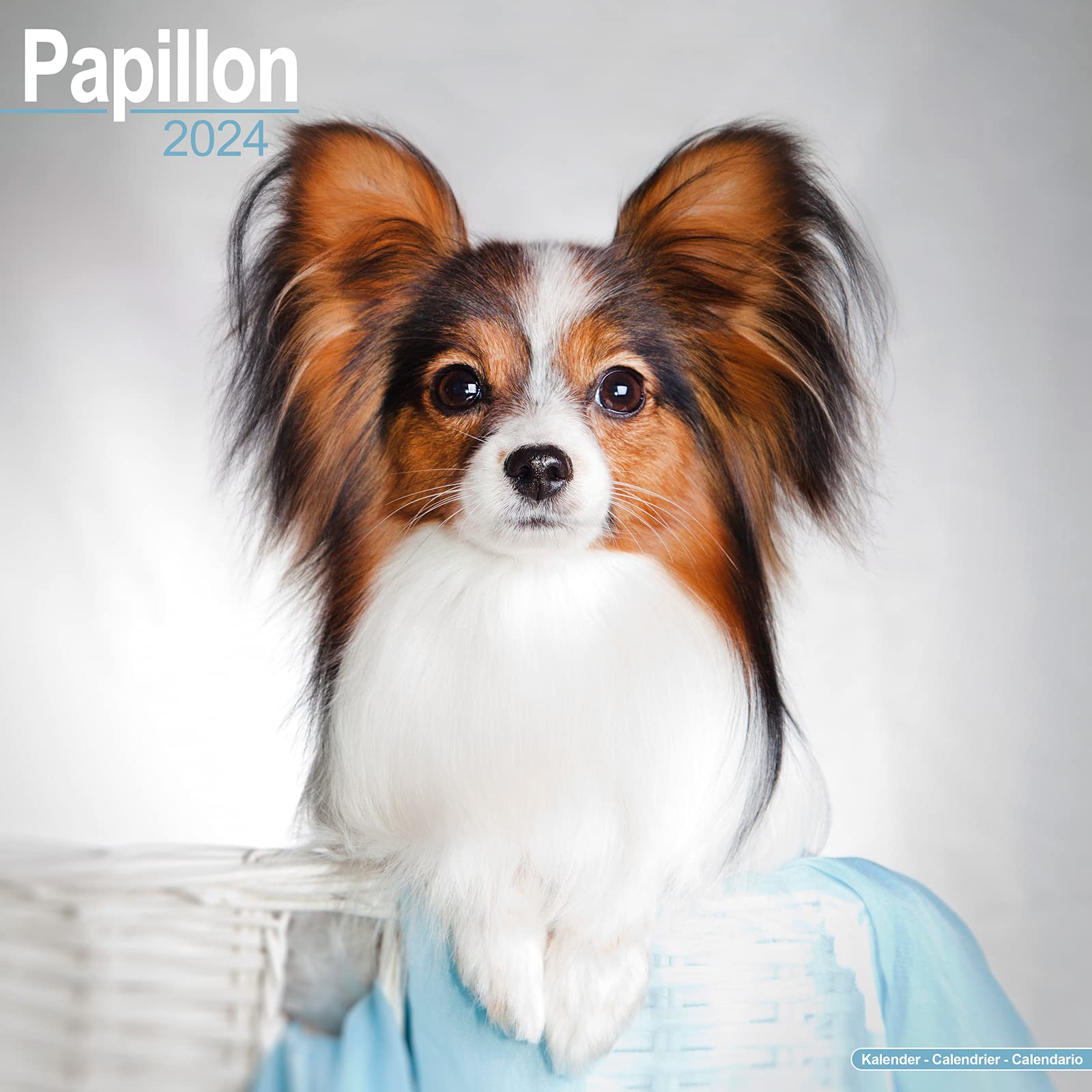 Amazon | Papillon Calendar 2024 Square Dog Breed Wall