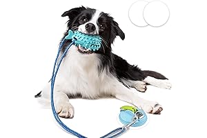Suction Puppy Tug Toy: The Ultimate Chew Buddy for Active Dogs