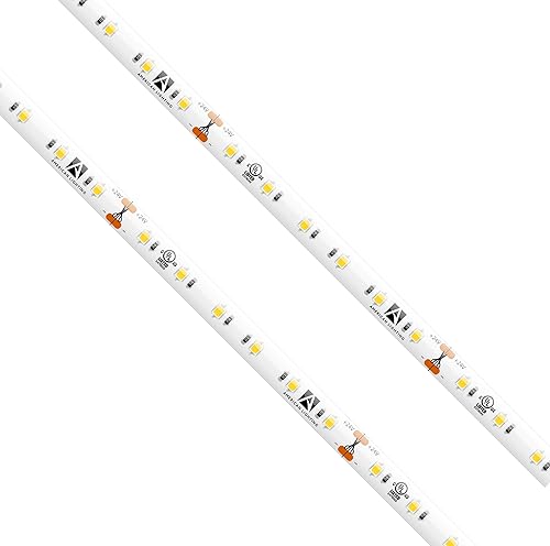 Trulux - Carrete de cinta LED de alto rendimiento IP65, blanco cálido, 3000 K, carrete - 16.4 pies, HTL65-WW