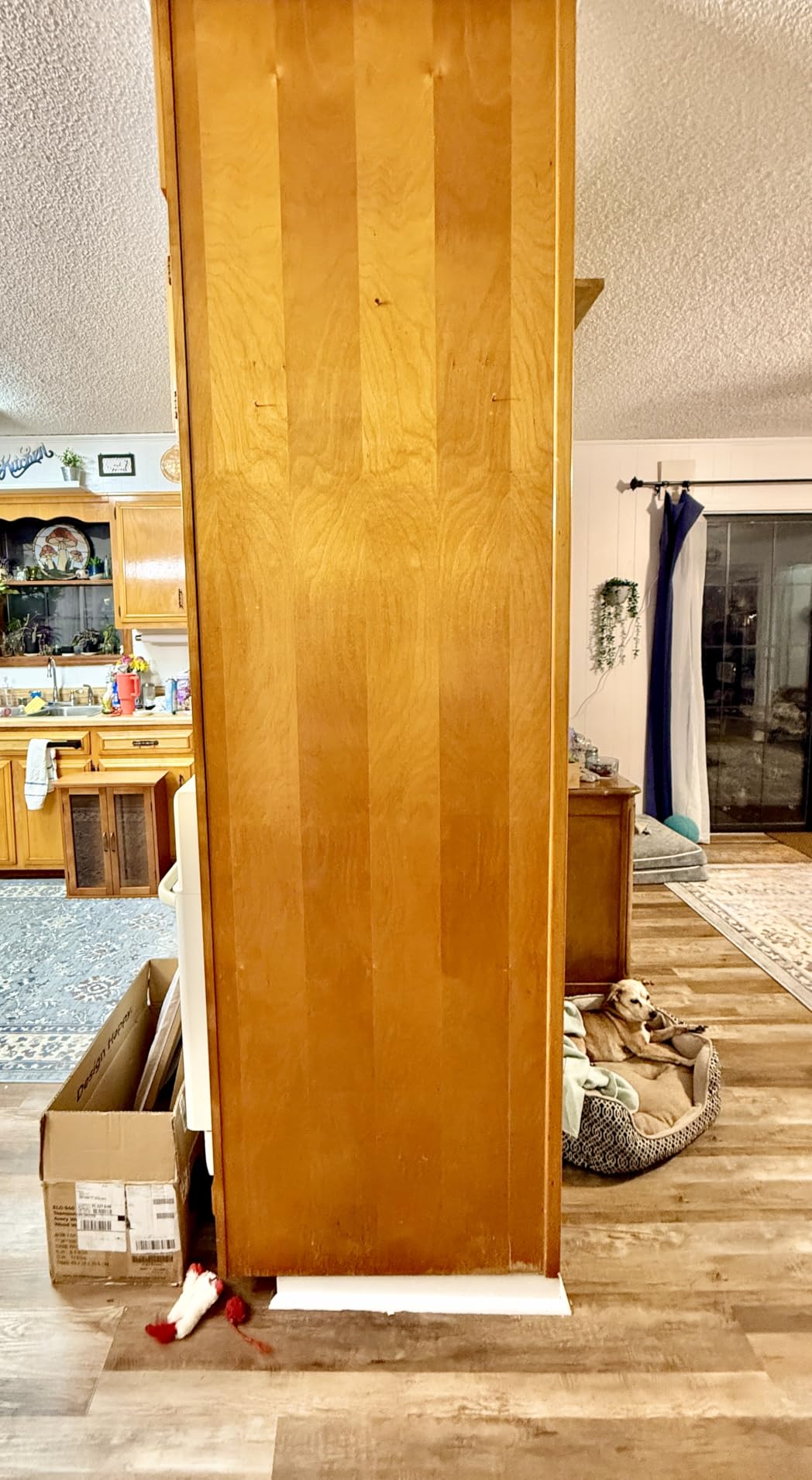 Customer photo