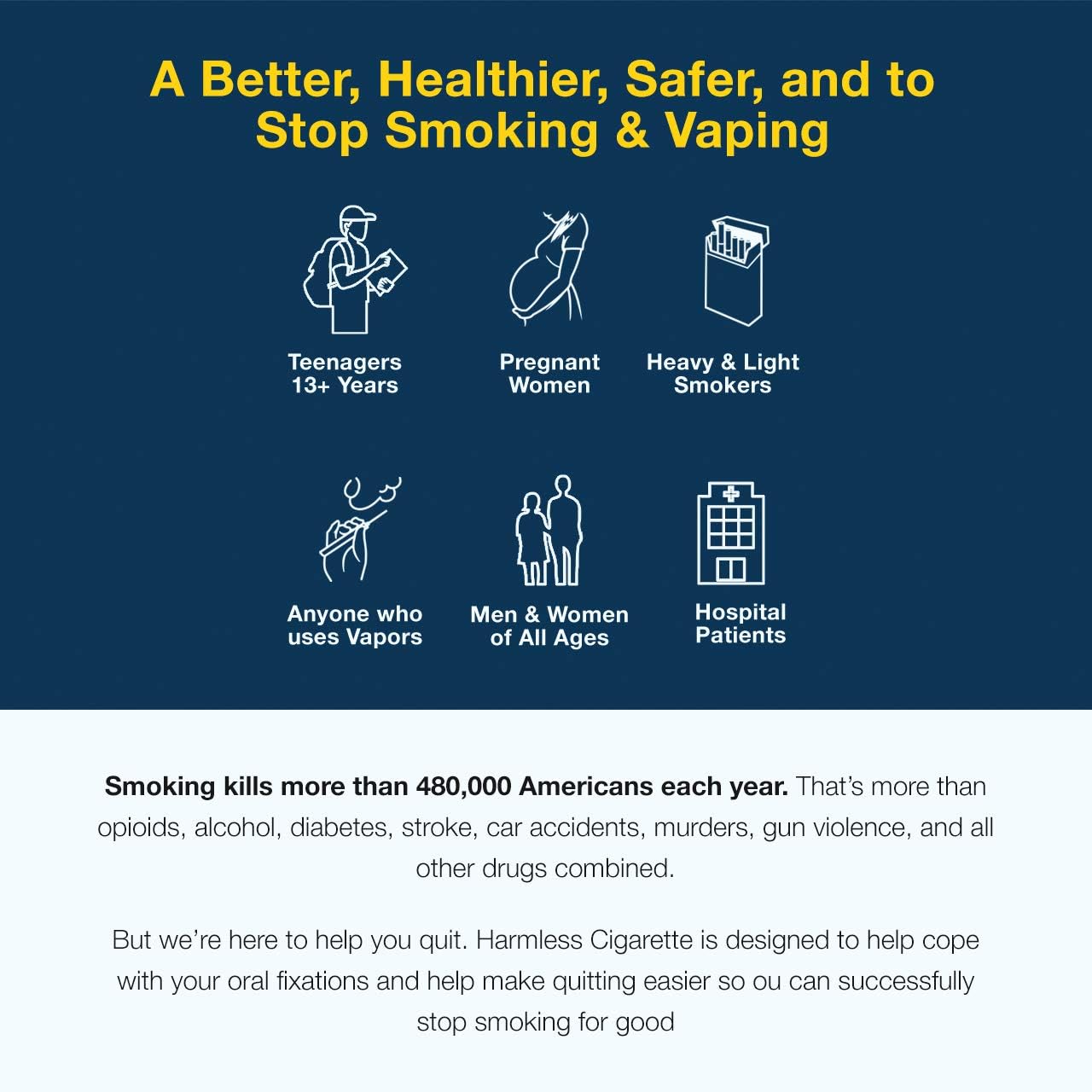 QuitGo Cigarete for Traveling on Airplanes/Airports/Non-Electric/Smoke-Free/NicoTin-Free (Cinnamon, 1 Pack) : Health & Household