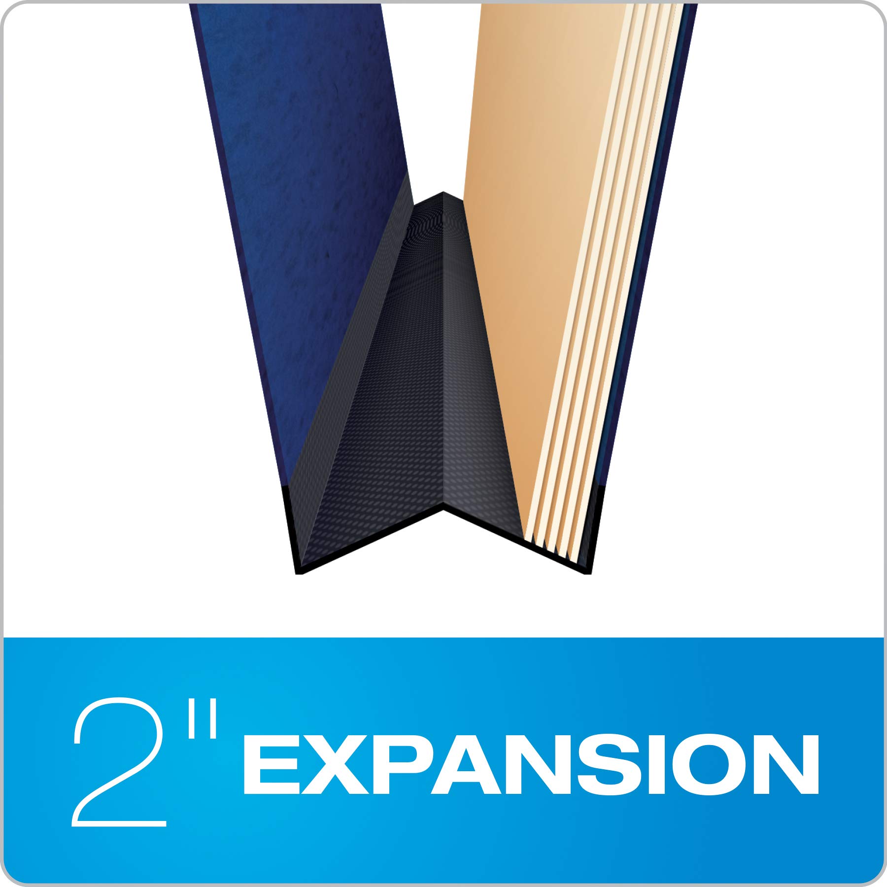 Pendaflex Hanging Employee/Personnel Folders, Letter size, Blue, 10 per box (ser-2-bl)