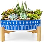 Succulent Pots - 11 Inch Large Plant Pots Ceramic Bonsai Pots with Drainage Stand, Shallow Succulent Planters for Indoor Plants Decorative Flower Cactus Planter Bowl