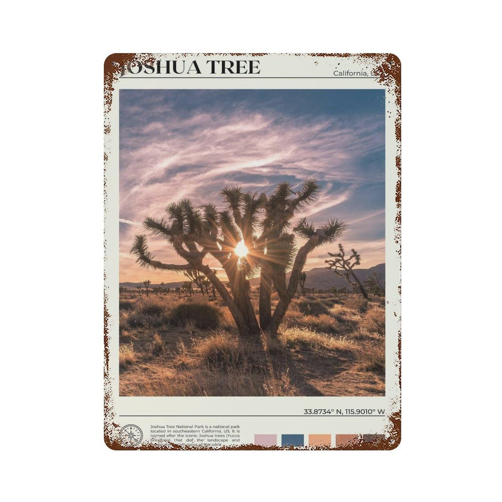 xiaoxiaoshen Real Photo Joshua Tree Decor Wall Decor Art Metal Tin Poster Modern Home Decor Art Home Bar Shop Decorations Vintage Sign 40x30cm
