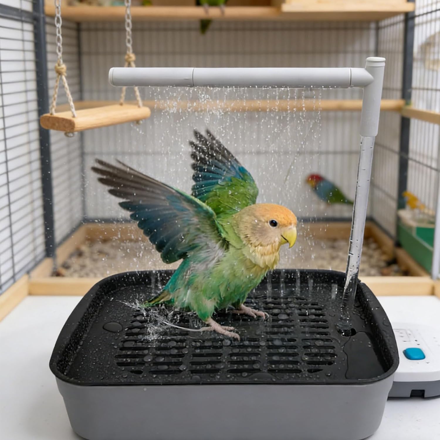 Automatic Circulating Bird Fountain Shower Box for Small Pets Indoor Bird Shower