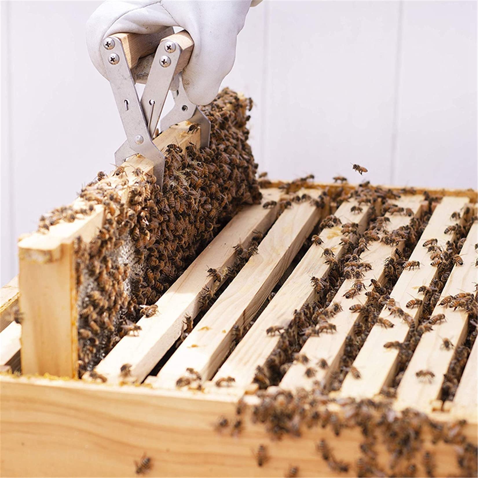 Kit De Herramientas De Apicultura Accesorios Conjunto Bee Hive Starter Kit Suministros De Apicultor Suministros con Smoker Smohder Brush Scraps,11pcs
