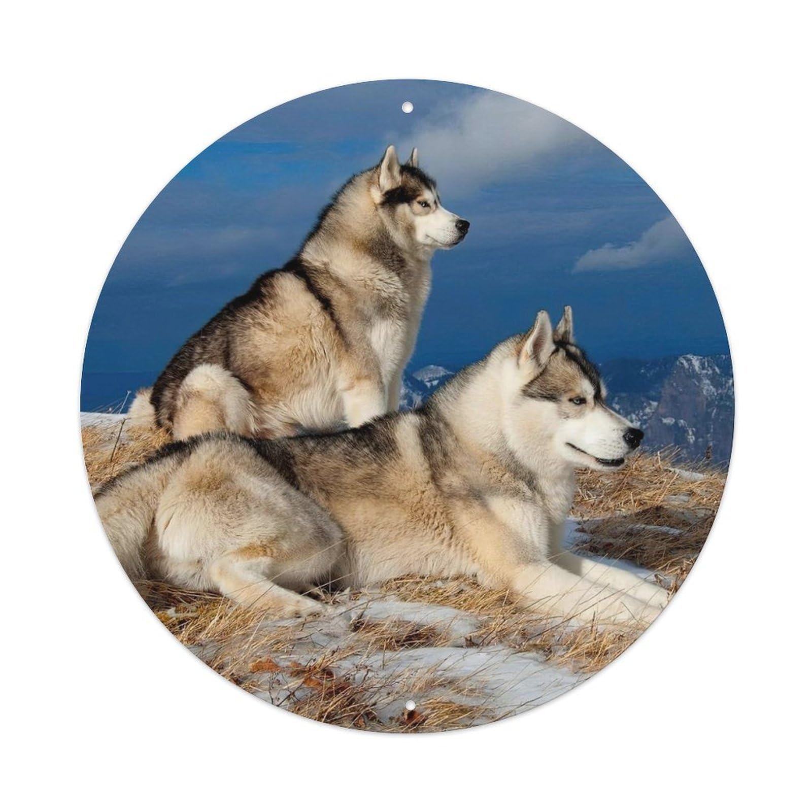 Siberian Husky Winter Adventure Animal Poster Metal Tin Sign