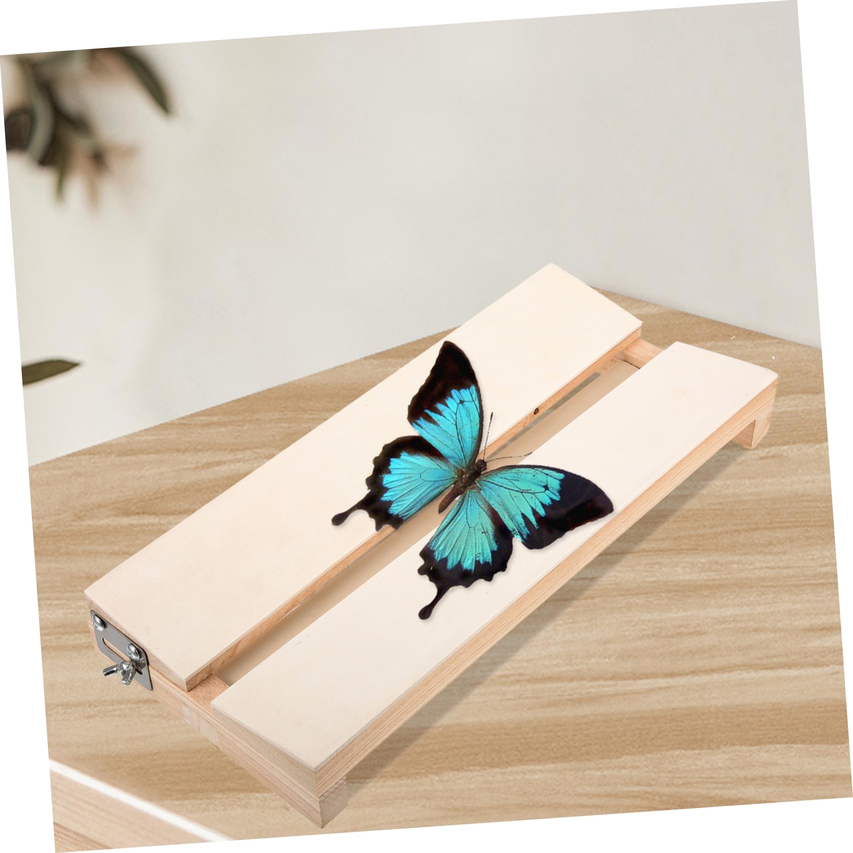 OUNONA Butterfly Specimen Board Display Wooden Spread Kit Butterfly Wings Spreading Tool