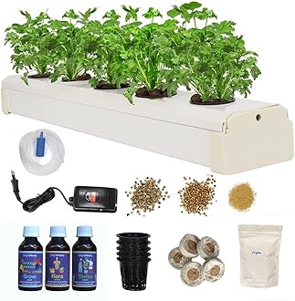 Hydroponic Kit for Home – 5-Plants DWC (Deep Water Culture) System for Beginners | Grow Any Indian or Exoctics Leafy Greens & Herbs Like Spinach, Coriander, Lettuce