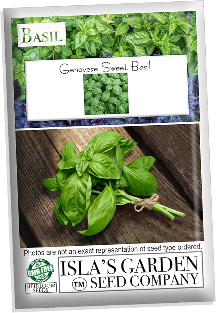 Easy Genovese Basil vs Sweet Basil Which is Best for Homemade Recipes?