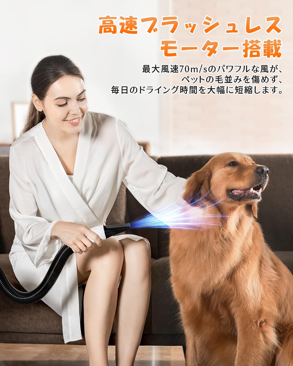 Petaboo ペット ドライヤー【ハイパワー風力で速乾 静電気除去 大風量 Amazon | Petaboo ペット ドライヤー【ハイパワー風力で速乾 静電気