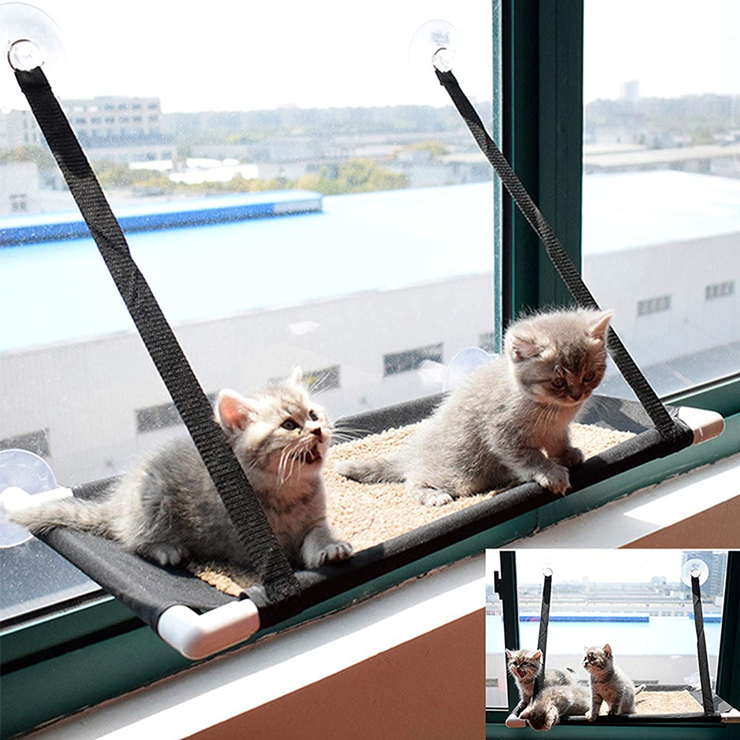 Hamaca para Gato Hamaca Ventana de Gato Cama Colgante para Gatos, Cama Tipo Hamaca con Ventana, Asiento de Cama con Ventosa, cómodo, Duradero, sólido, Ahorra Espacio, fácil de Limpiar, instala dife