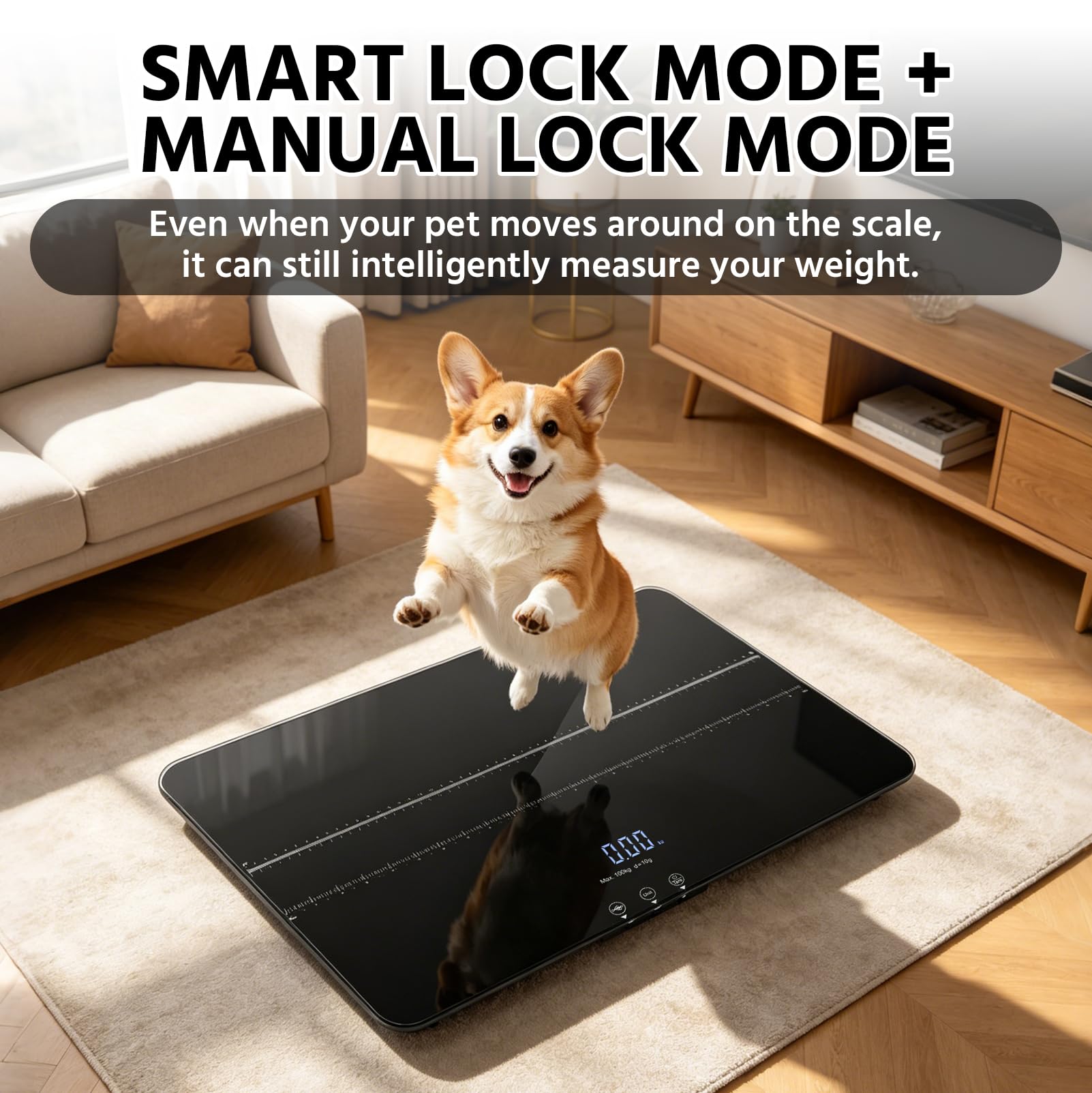 Bilancia Digitale per Cani e Gatti, Display LCD, Ricarica USB