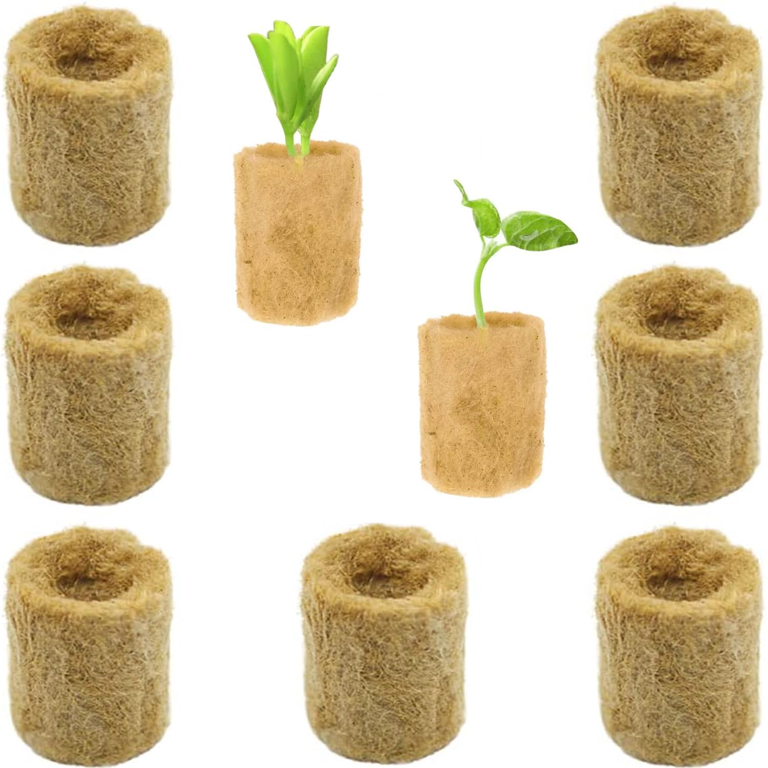 50 Cubetti Di Lana Di Roccia Per Idroponica - Tappi Per Coltivazione - Foto 8