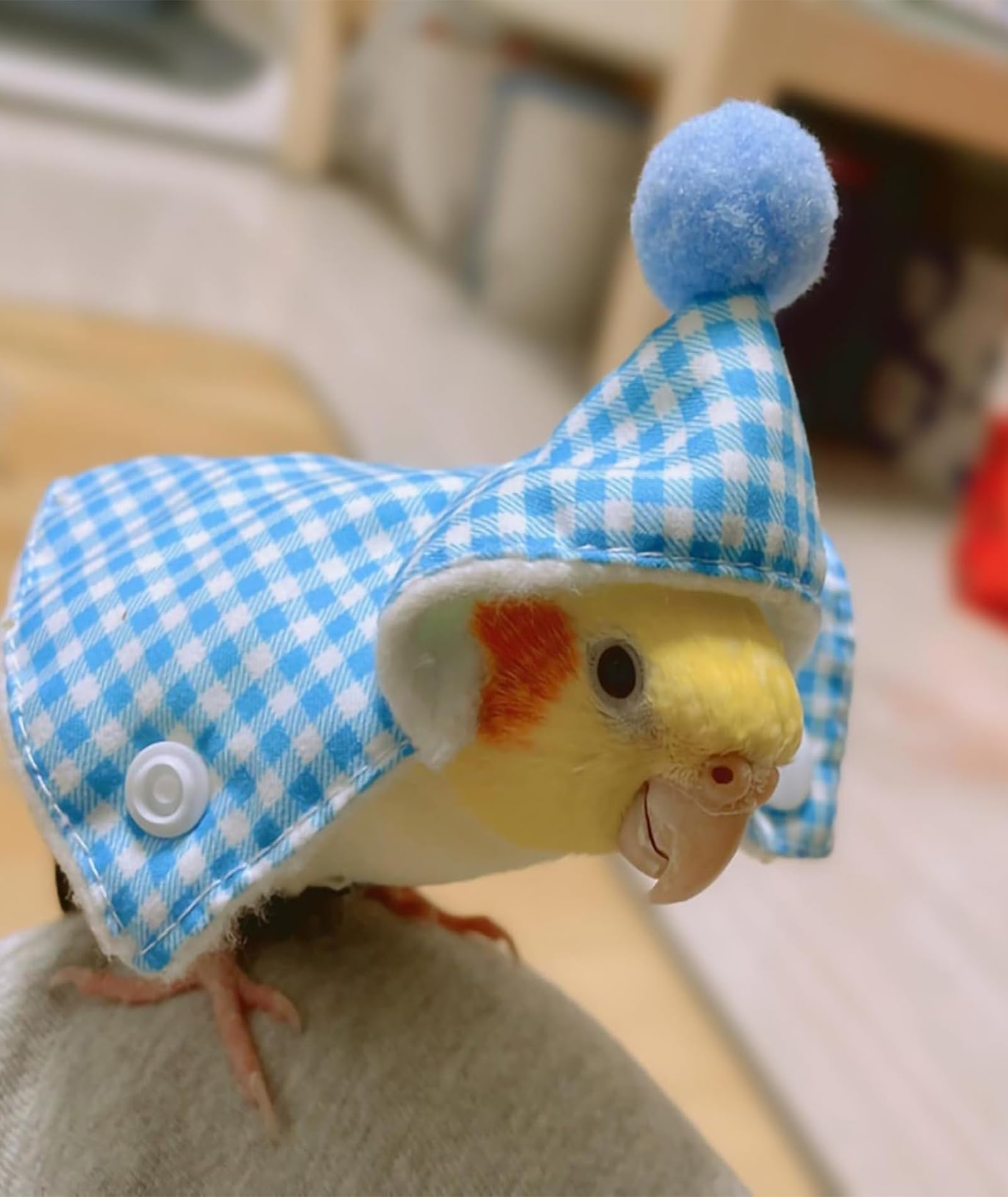 1 Piece Parrot Clothes, Comfortable Bird Costume for Special Occasions, Clothes for Parrot, Cute Blue Cape for Parrots 2