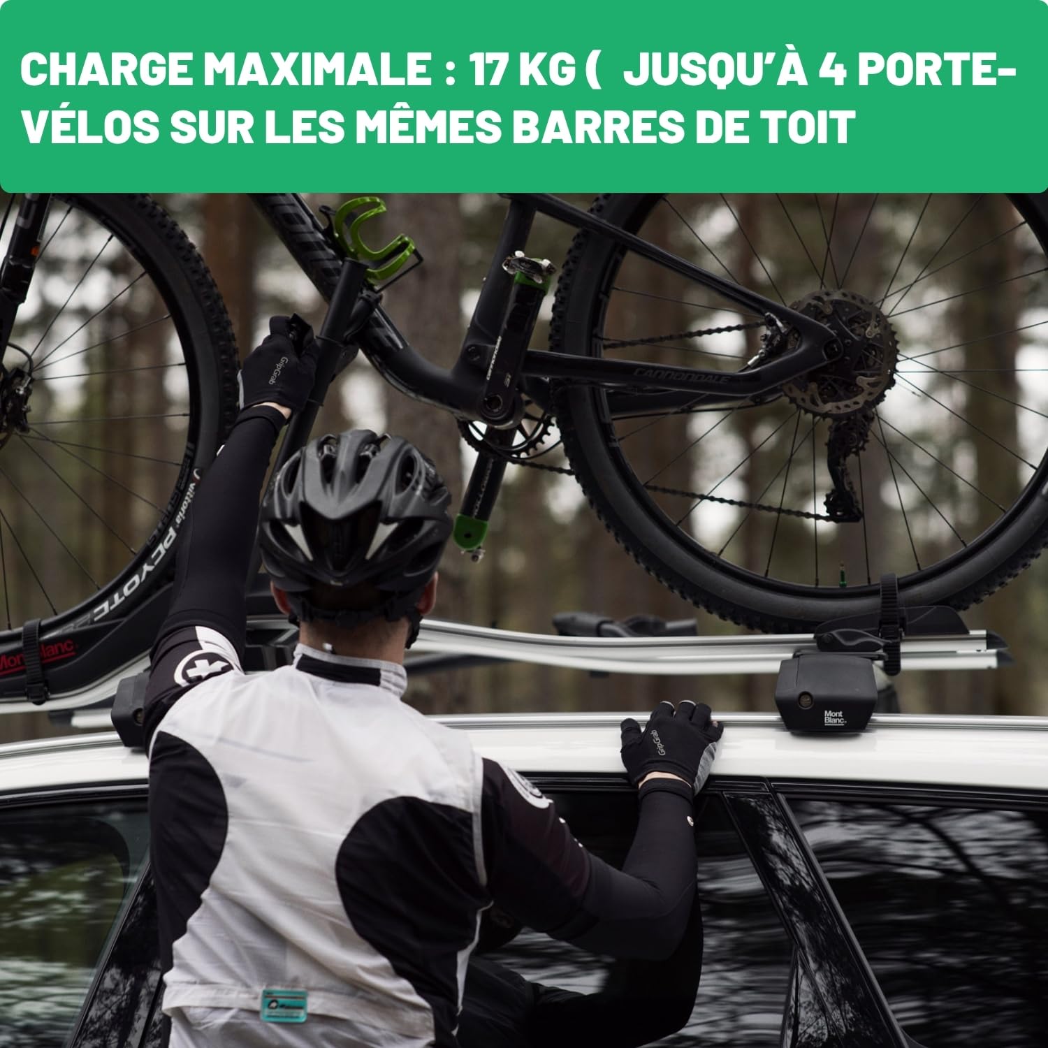 Mont Blanc Portabici da Tetto Roof Sprint Alluminio - 1 Bici