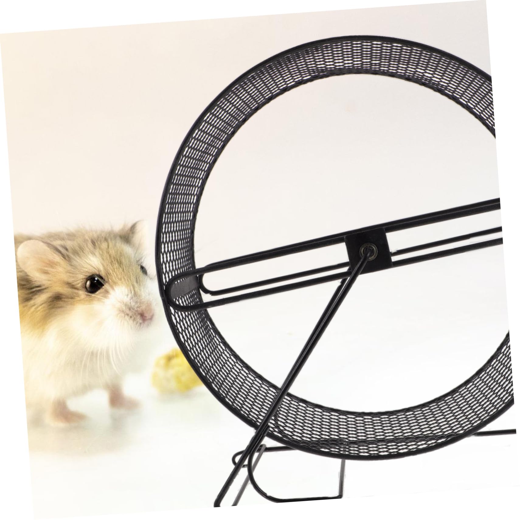 Geräuschloses Hamsterrad aus Eisen in Schwarz für Squirrel | Laufspielzeug mit Gestell, Sichere Drehbewegung und Leiser Betrieb, für Training und Bewegung