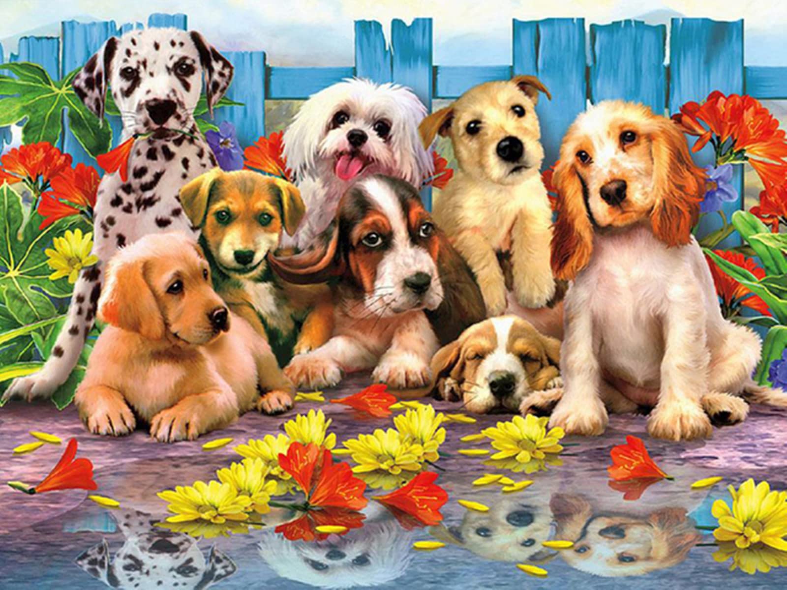 Puzzle Dalmatien 5000 pièces : le jeu familial idéal pour animer vos week-ends d'hiver