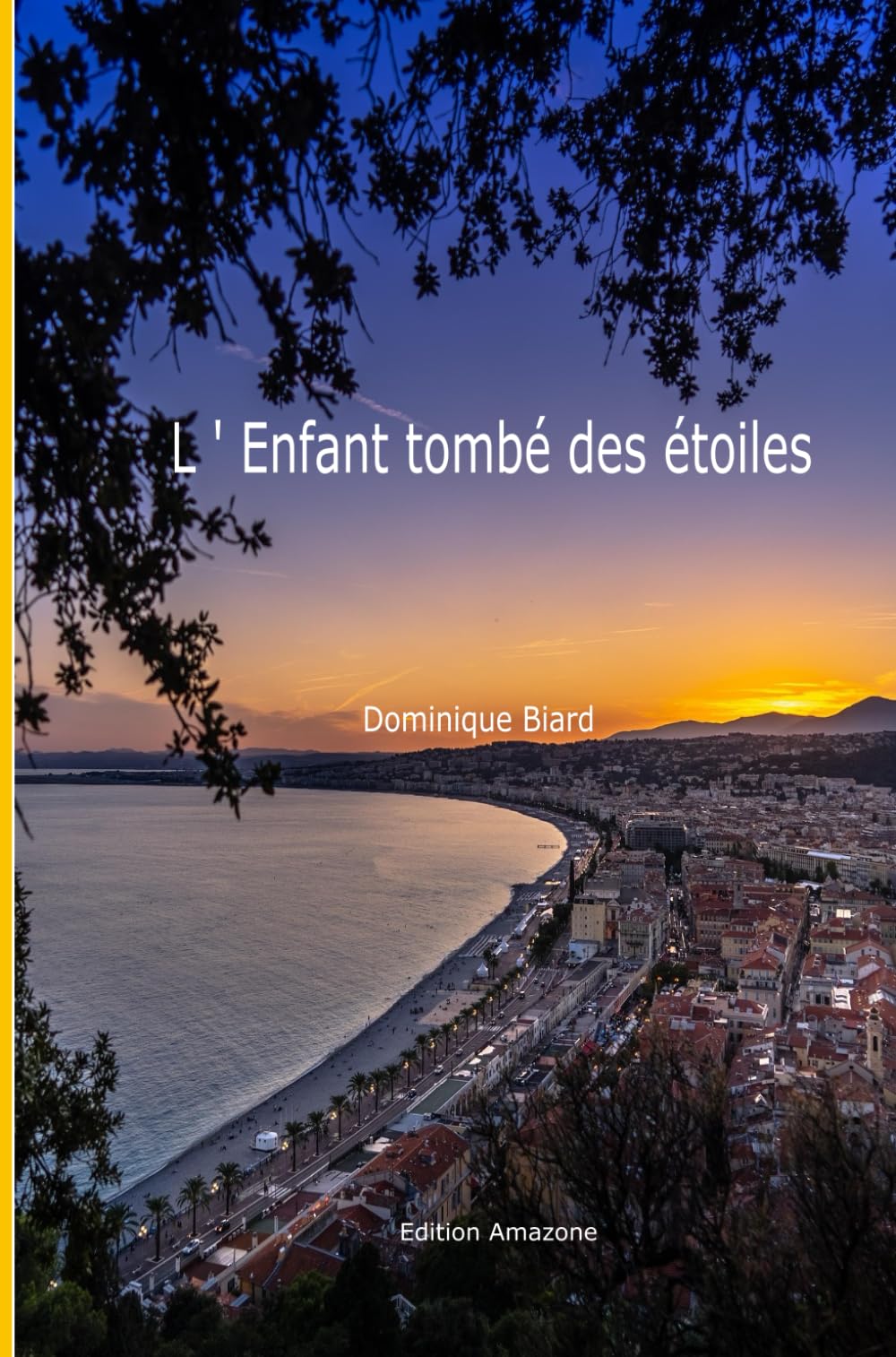 L'Enfant tombé des étoiles