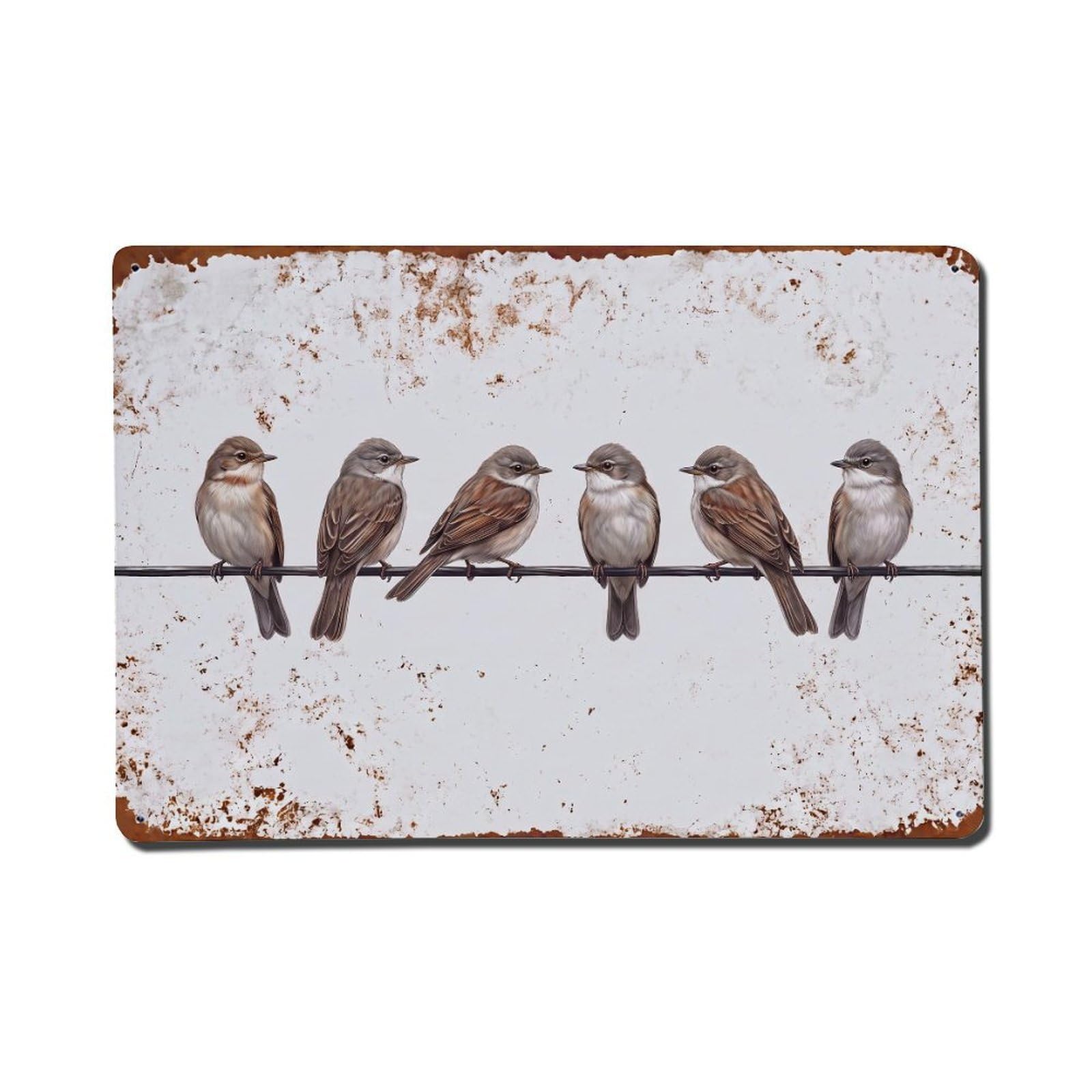 Vintage Retro Birds Common Whitethroat Metal Tin Sign