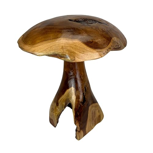 Things2Die4 that Mushroom Statue, Rustic Hand Carved Teak Wood Sculpture,