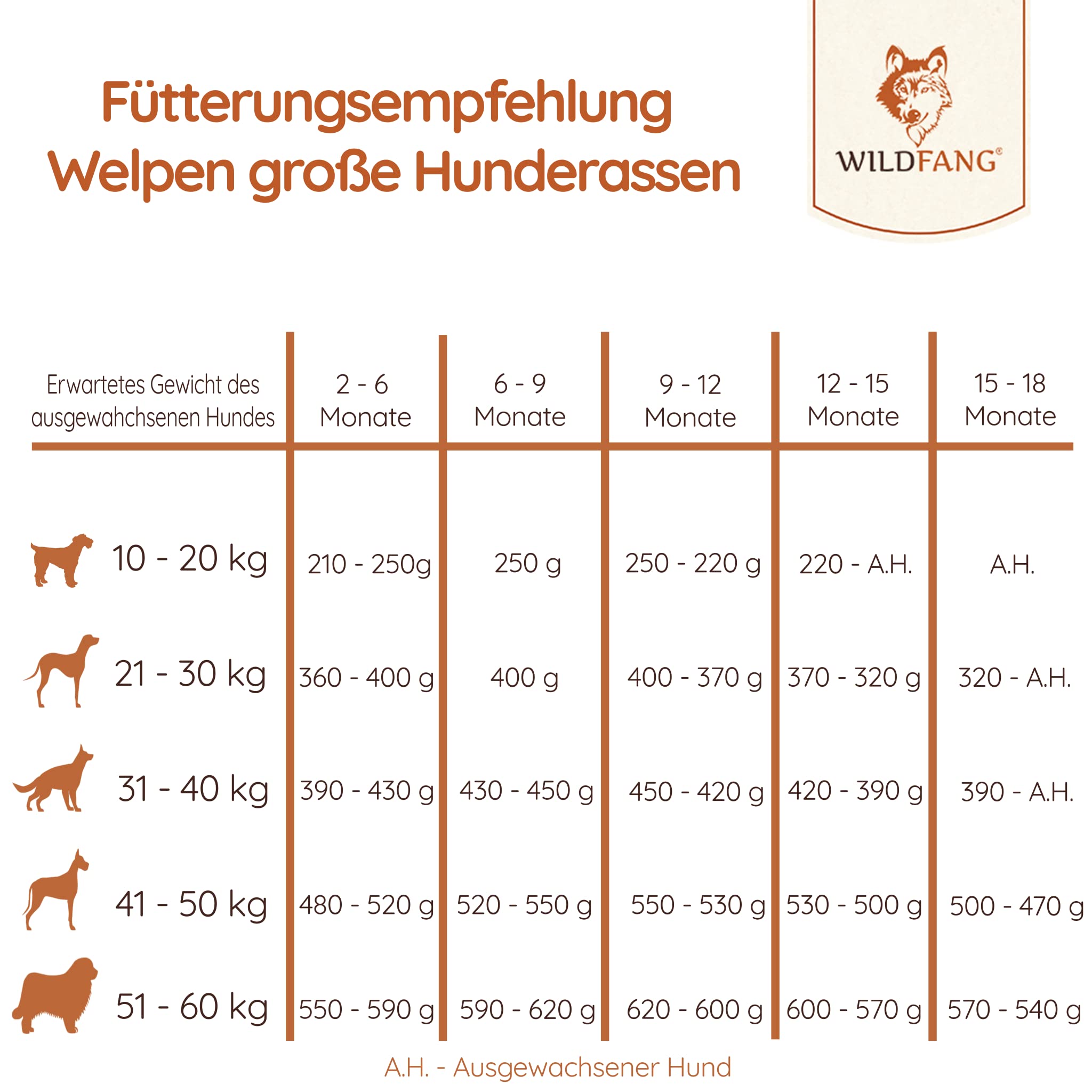 Wildfang® Croquettes Sèches pour Chiens 2kg – Croquettes Sèches Premium au Saumon, sans Céréales & sans Gluten, avec Ingrédients Naturels, sans Sucre Ajouté, Nourriture pour Chiots – Pack de 2