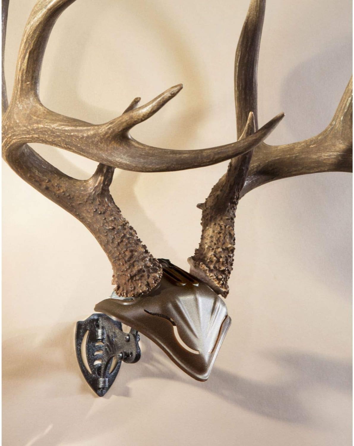 Skull Hooker Bone Bracket European Trophy Mount with Skull Cap Included – Perfect Kit for Hanging and Mounting Capped Skulls for Display