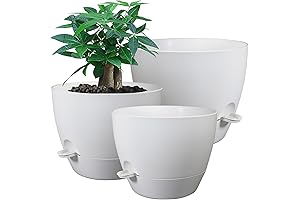 Self-Watering Plant Pot, 12 Inch