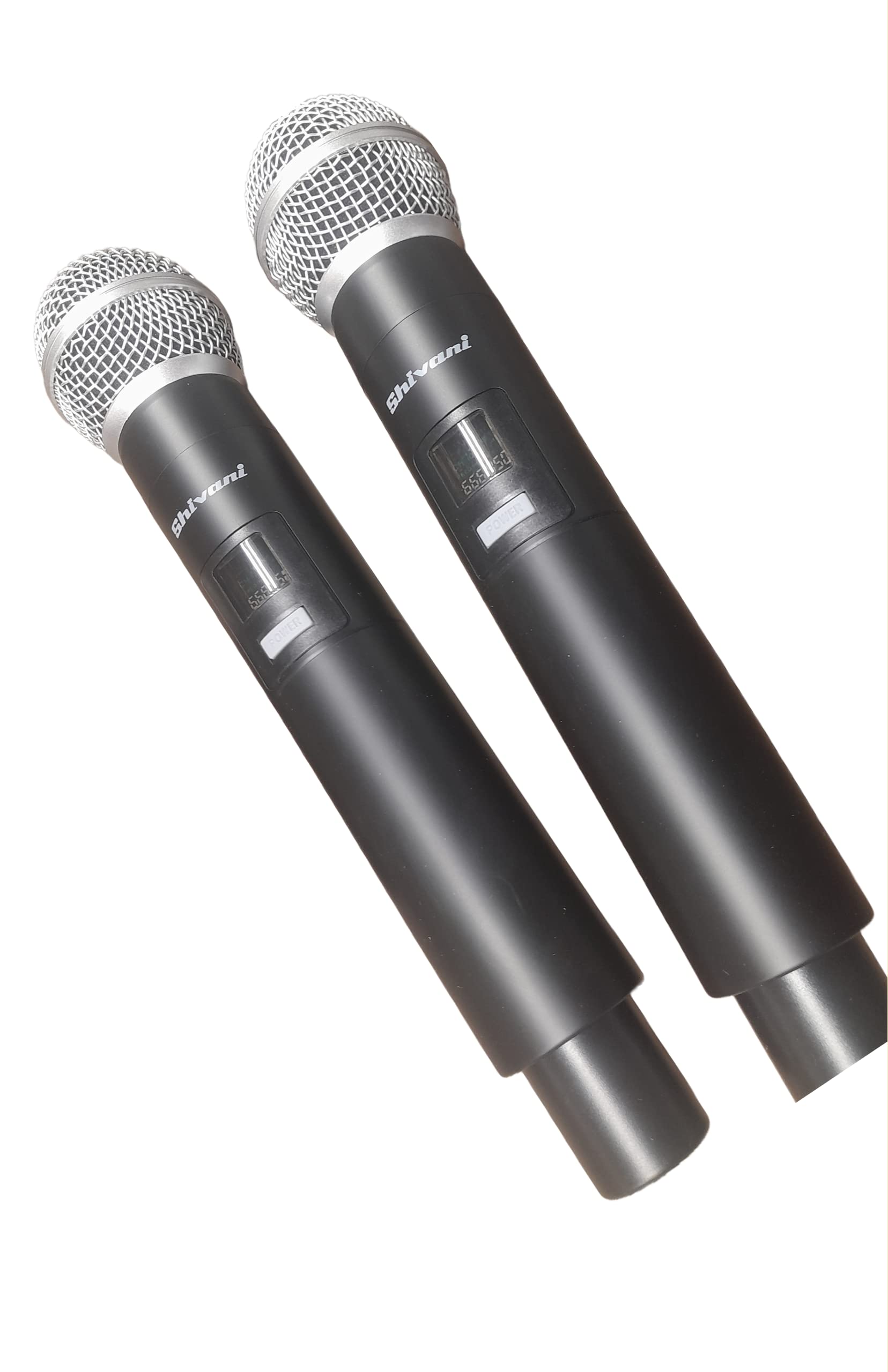 Blubuzz Wireless Mic, Dual Channel UHF Dynamic Microphone for