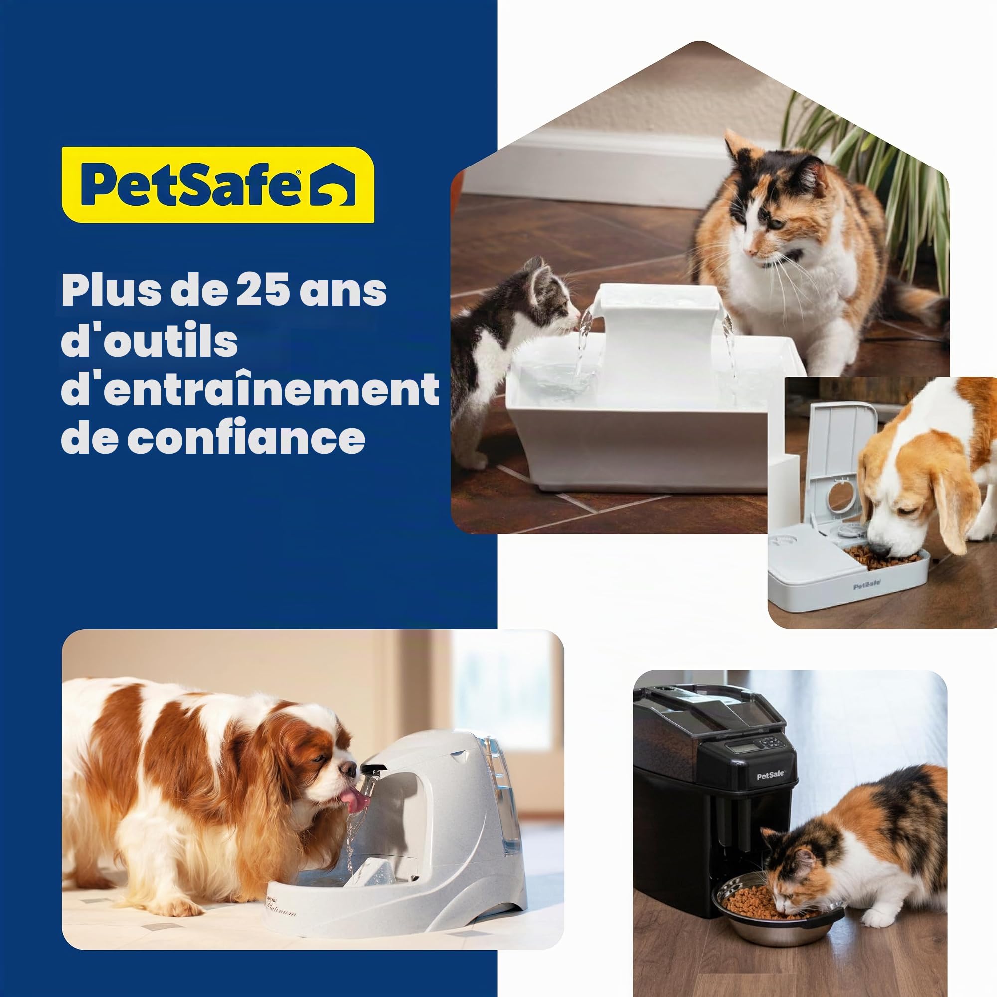 PetSafe Oasys Fontaine à Eau pour Chat ou Chien de Taille Moyenne, Distributeur d'eau filtrée Lavable au Lave-Vaisselle avec contrôle du débit, filtres Inclus, Facile à Nettoyer