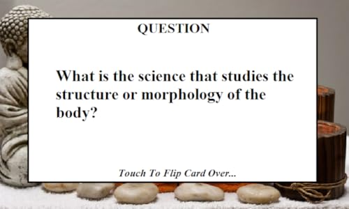 Massage Therapist Flashcards