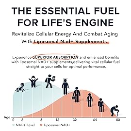 1600 mg Liposomal NAD Supplement, 98% Pure NAD+ Supplement, Superior Absorption, Alternative to Nicotinamide Riboside or NADH to Boost NAD+ for Aging Defense, Energy, Longevity, 480 Softgels
