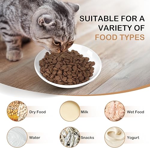 Miniatura 6 de TRUVIC Paquete de 4 cuencos de cerámica para gatos, platos de cerámica de 5.9 pulgadas para gatos de interior y perros pequeños, cuencos antifatiga