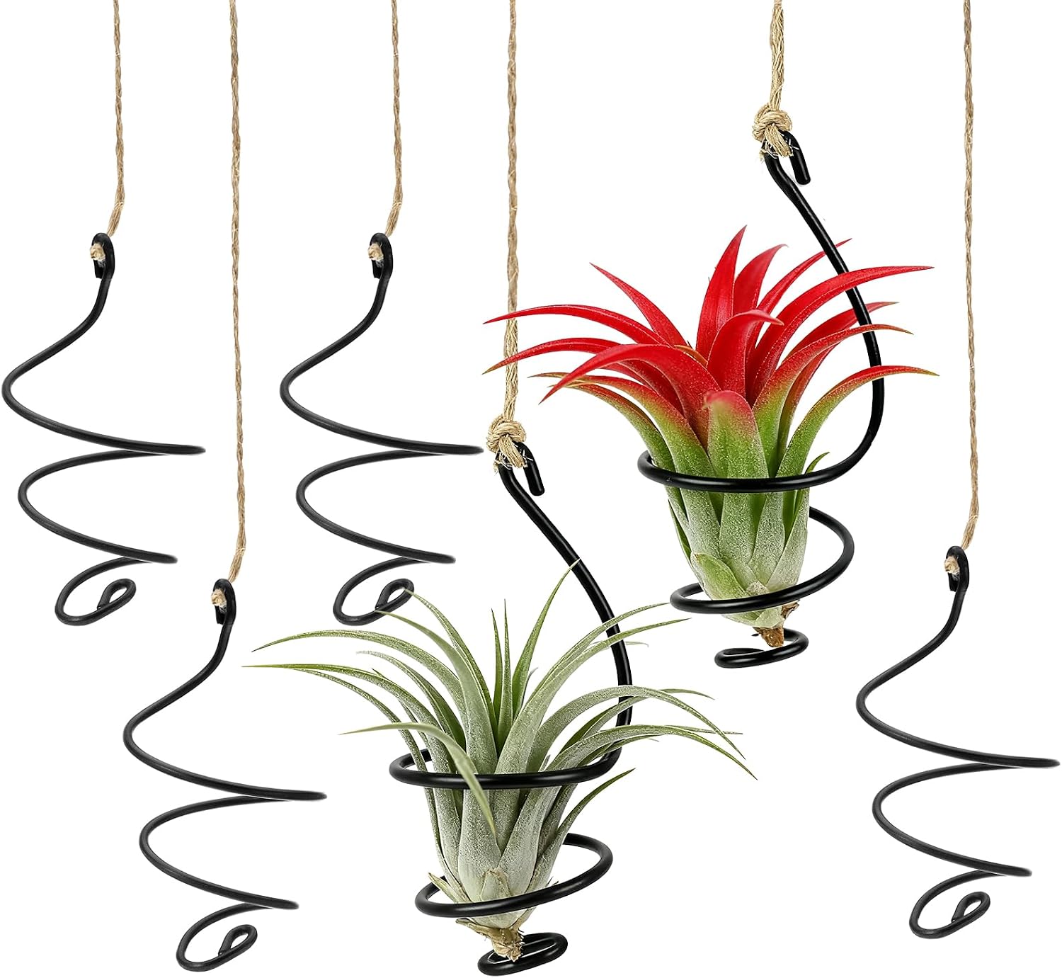 6 Pcs Hanging Air Plant Holders with Jute Ropes, Soilless Air Plant Stand Adjustable Rust-Resistant Iron Rings for Home Office Decor