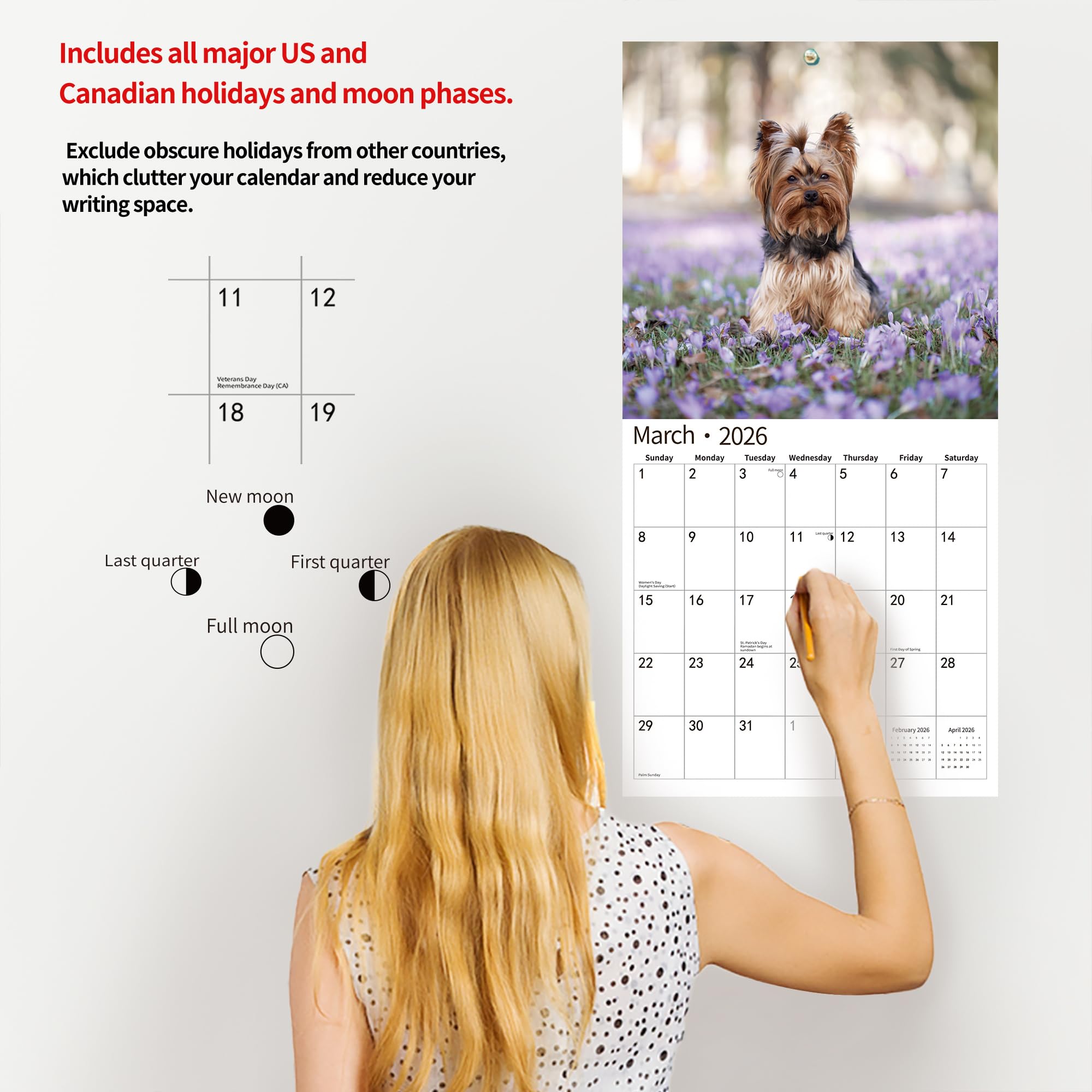 Weekly Spread Yorkie