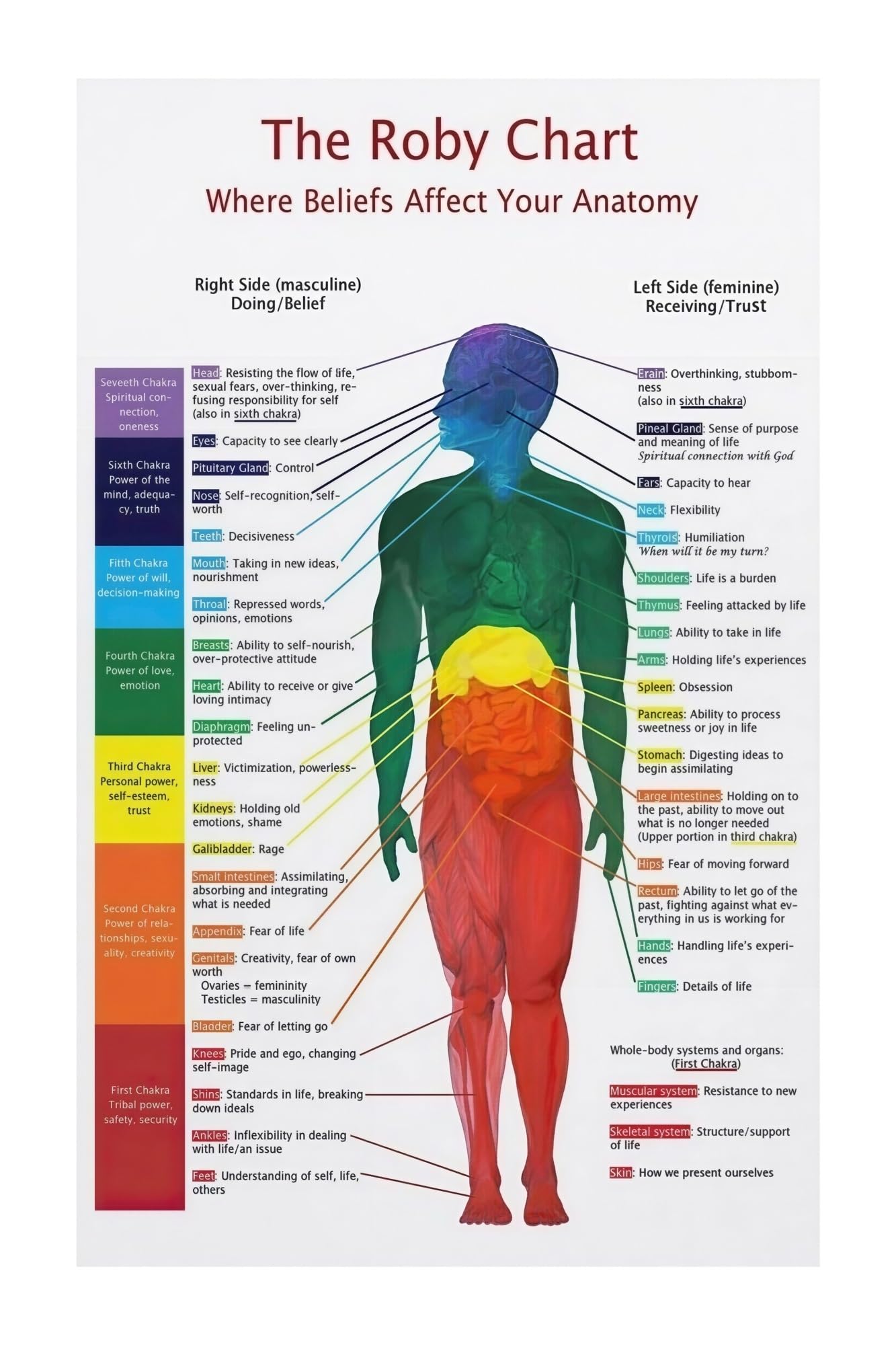 FOPURE System Chart with Human Anatomy Educational Poster Spiritual Wall-Art for Yoga Studio Room Space Home Decor