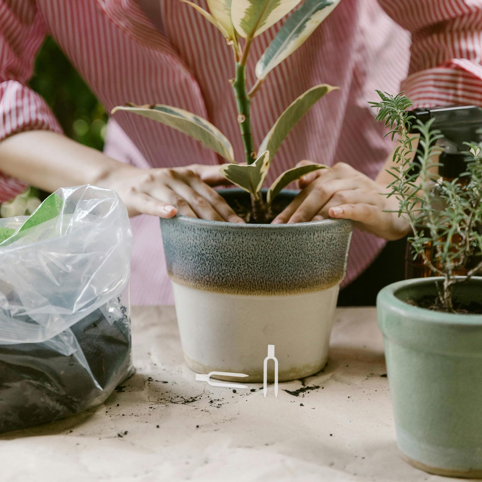 Angoily 1 Jeu de Tuteurs pour Plantes d'intérieur - Fourches à Planter Les fraisiers pour la Terre et Le Jardin - Clips de Fixation pour tiges de Jardin - Tuteurs en Plastique - Fournitures de