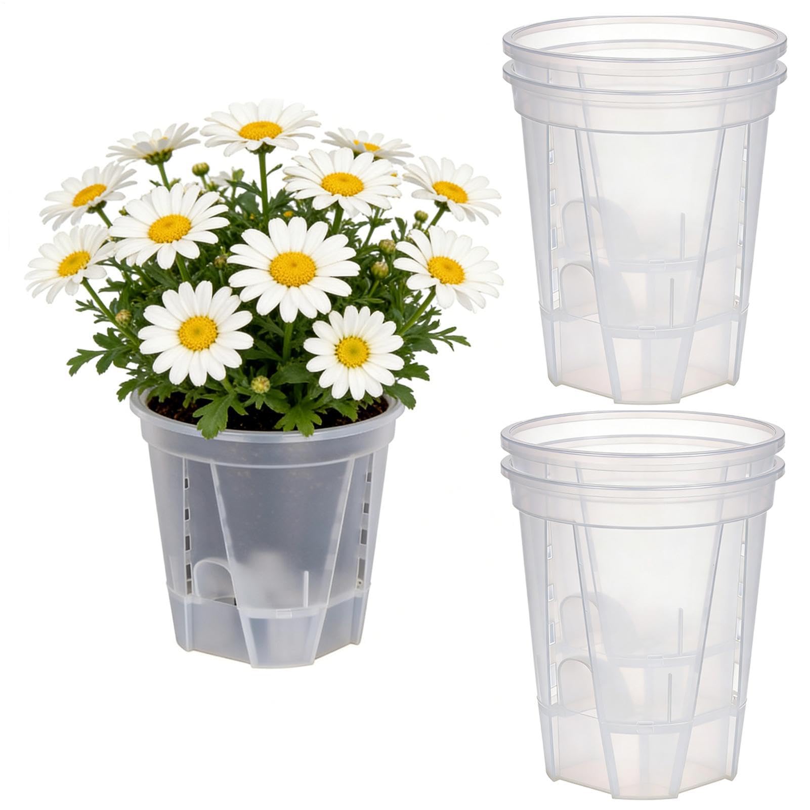 Lot de 5 pots de fleurs à arrosage automatique pour orchidées avec trou de