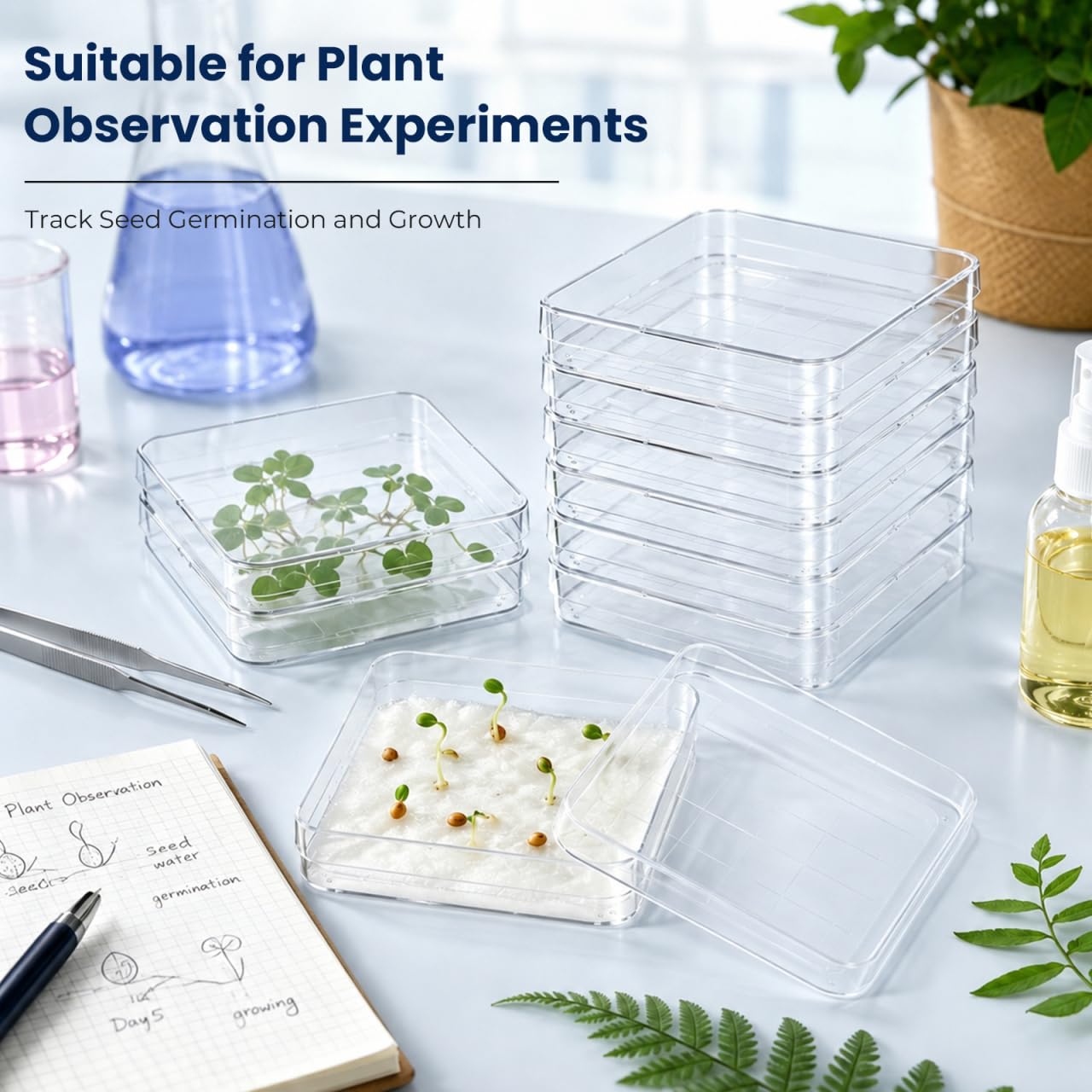 MAGICLULU 10 pièces Boîtes Pétri Carrées avec Couvercle Boîtes Pétri Transparentes pour Microbiologie Recherche Botanique Projets Scolaires et Laboratoire Scientifique