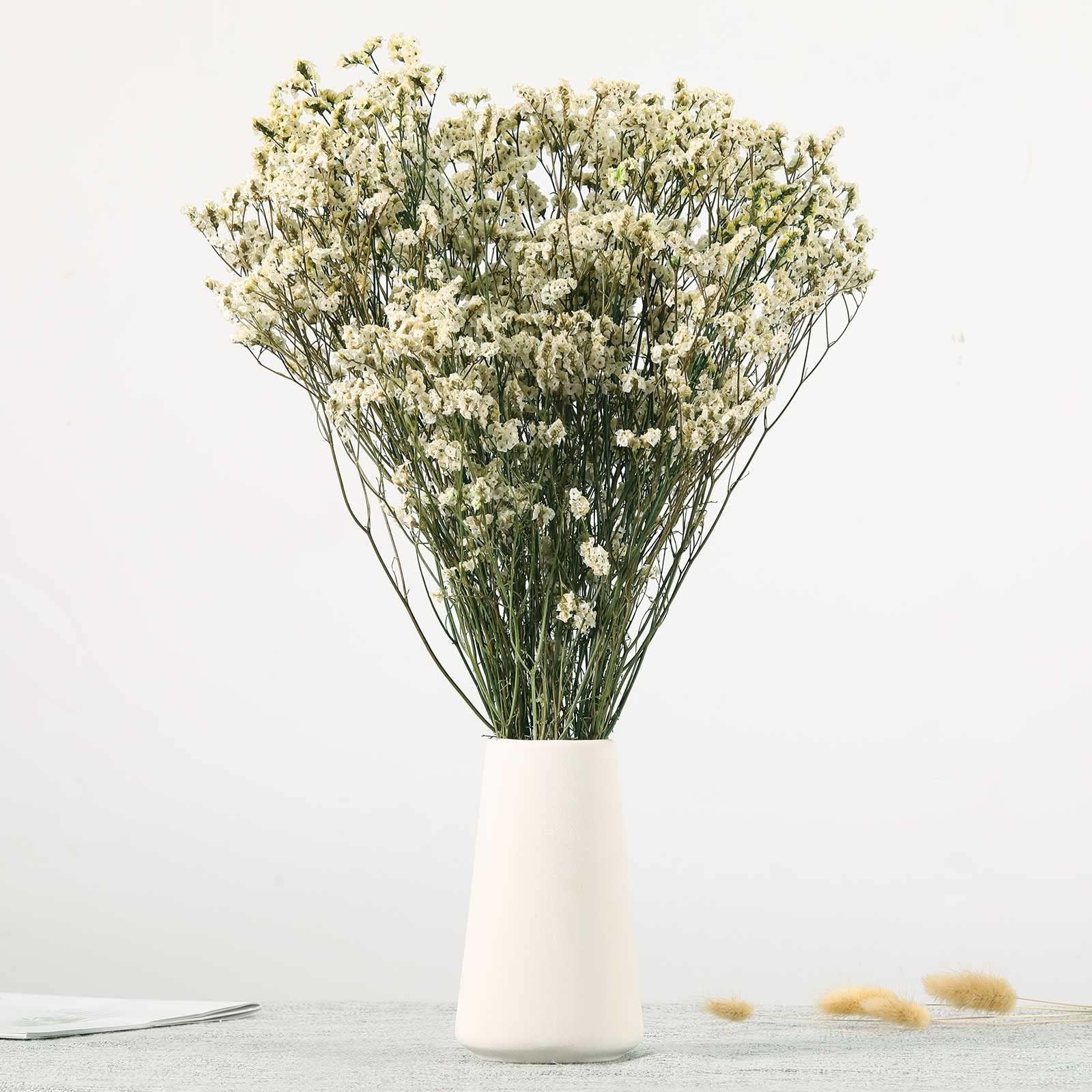 Dried Flowers Babys Breath Bouquet, Natural White Dry Flowers โ 17'' 1800+ Ivory Flowers, Preserved Gypsophila Branches for Wedding, Farmhouse Vase Decor, DIY Wreath Floral, Home Party Decoration