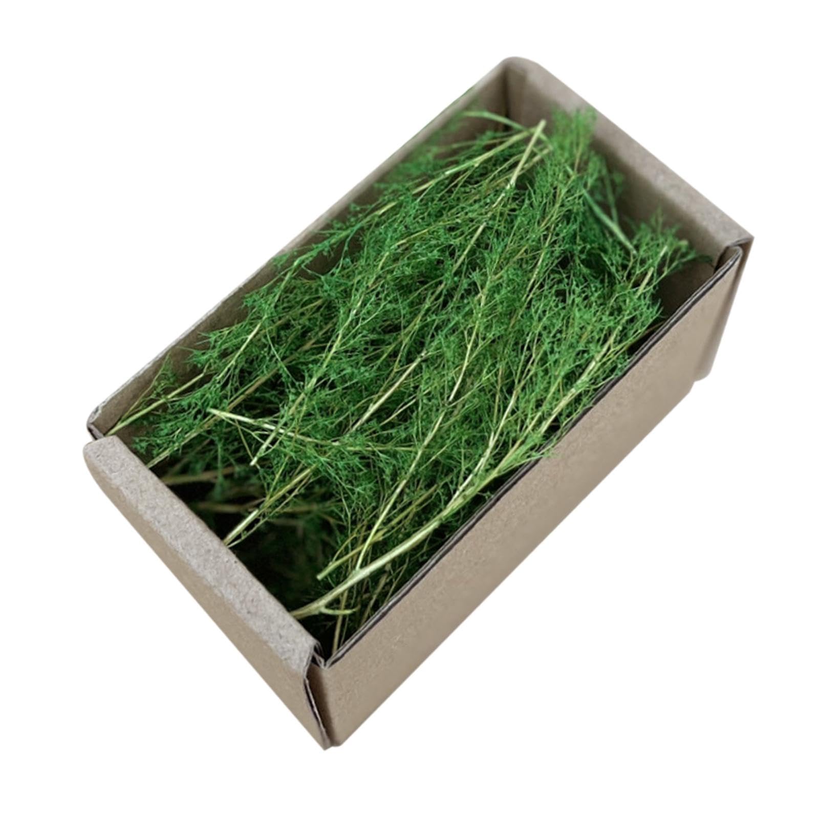 Calandis™ 6Xrealistic Miniature Grass Scenery DIY Model for Railways Fairy Garden Trains Green Summer | Toys & Hobbies-image-45