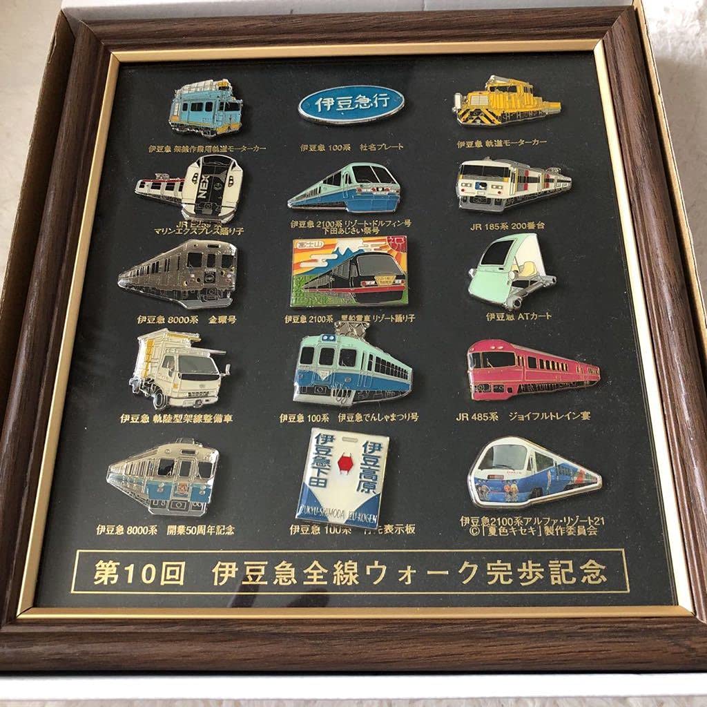 伊豆急全線ウォーク記念バッジ