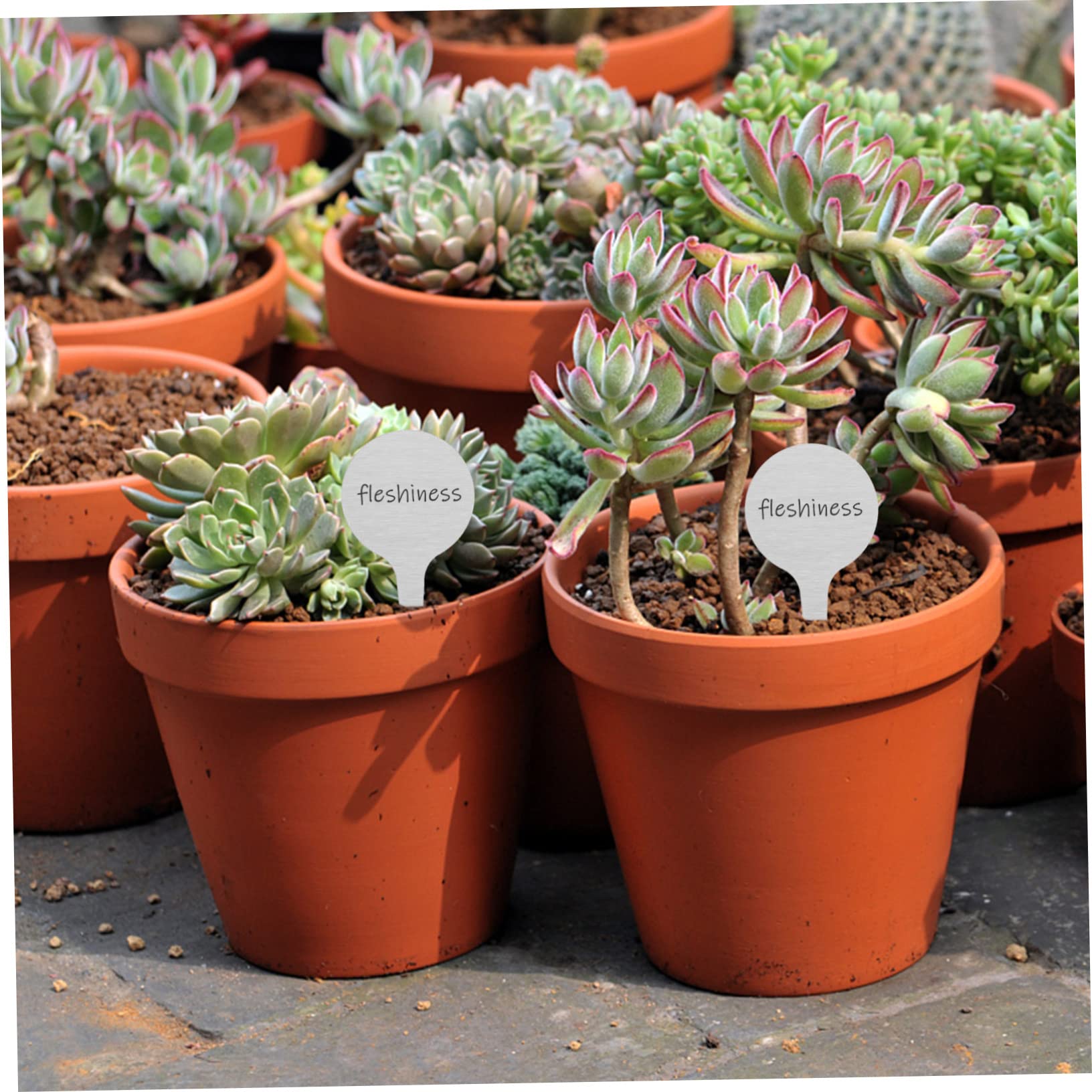 ORFOFE Lot De 3 Étiquettes Rondes En Métal Pour Plantes En Acier Inoxydable Pour Le Jardinage Les Fleurs Et Les Pépinières 50 Pièces X 3