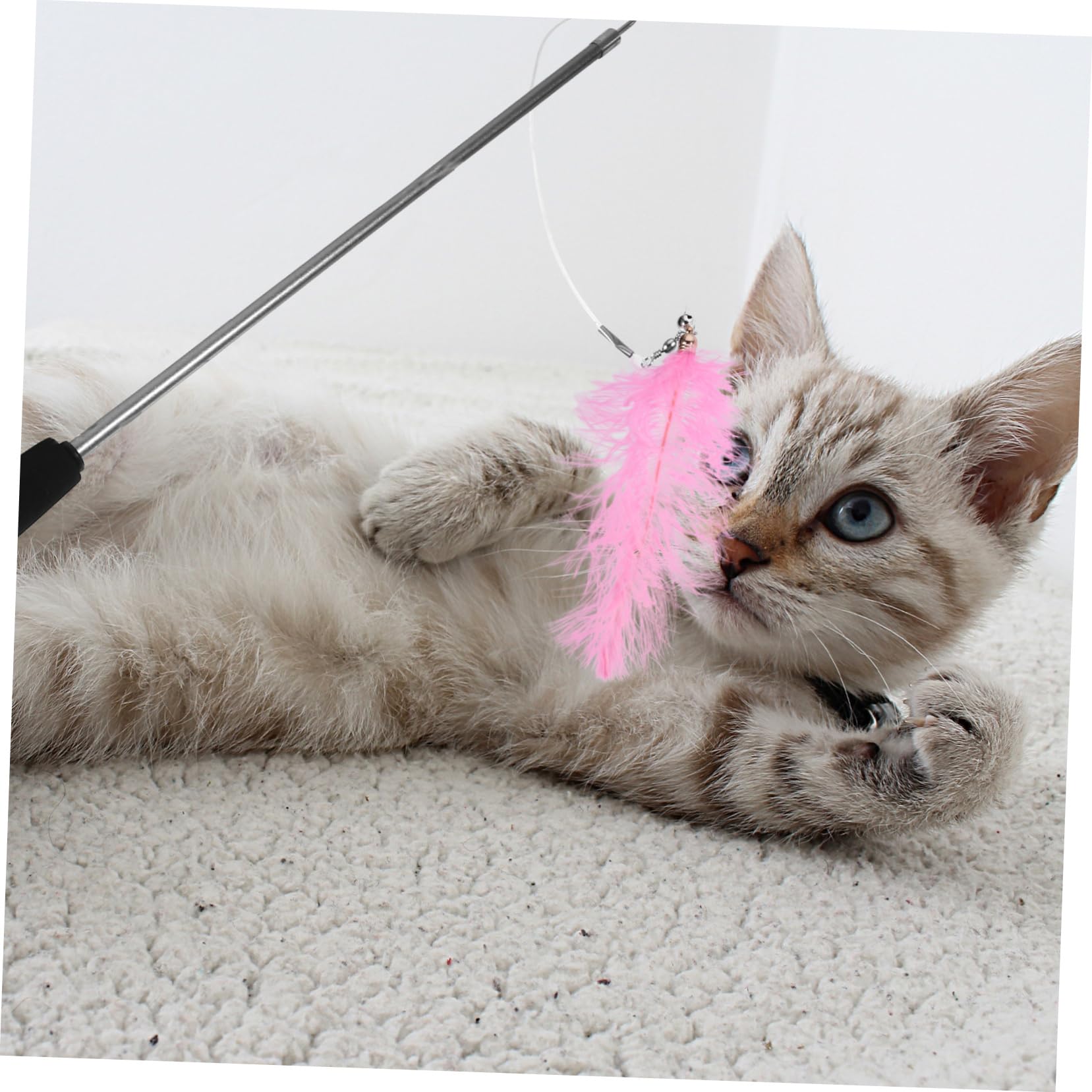INOOMP 3stücke Interaktives Katzenspielzeug Mit Teleskopischem Angelstock Und Ersatzspielzeugen Fördert Aktivität Und Bindung Zwischen Katze Und Für Kätzchen Erwachsene Und Senioren