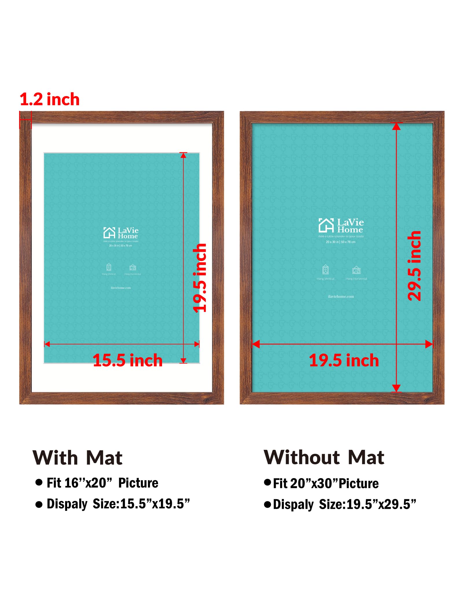 https://m.media-amazon.com/images/I/710tD8b1n8L.jpg