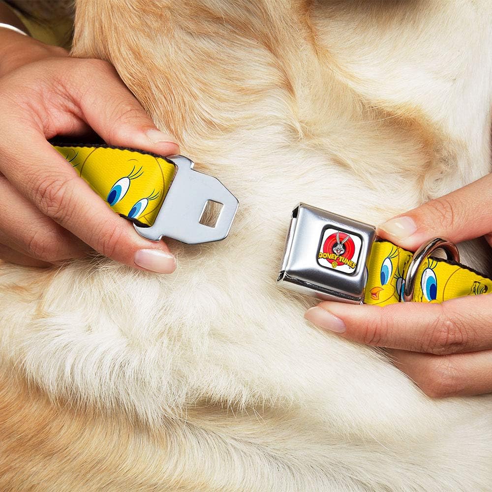 Buckle-Down Seatbelt Buckle Dog Collar - Tweety Bird Expressions Yellow - 1" Wide - Fits 15-26" Neck - Large