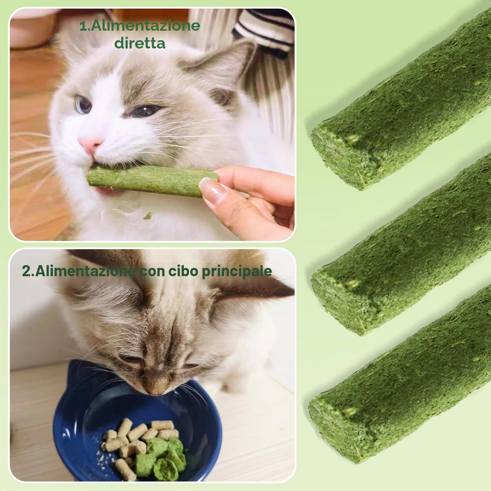 30g Bastoncini di Erba Gatta Liofilizzato, Snack per Gatti Erba Gatta per Gatti Pronta per Elimina Boli di Pelo e Pulizia dei Denti