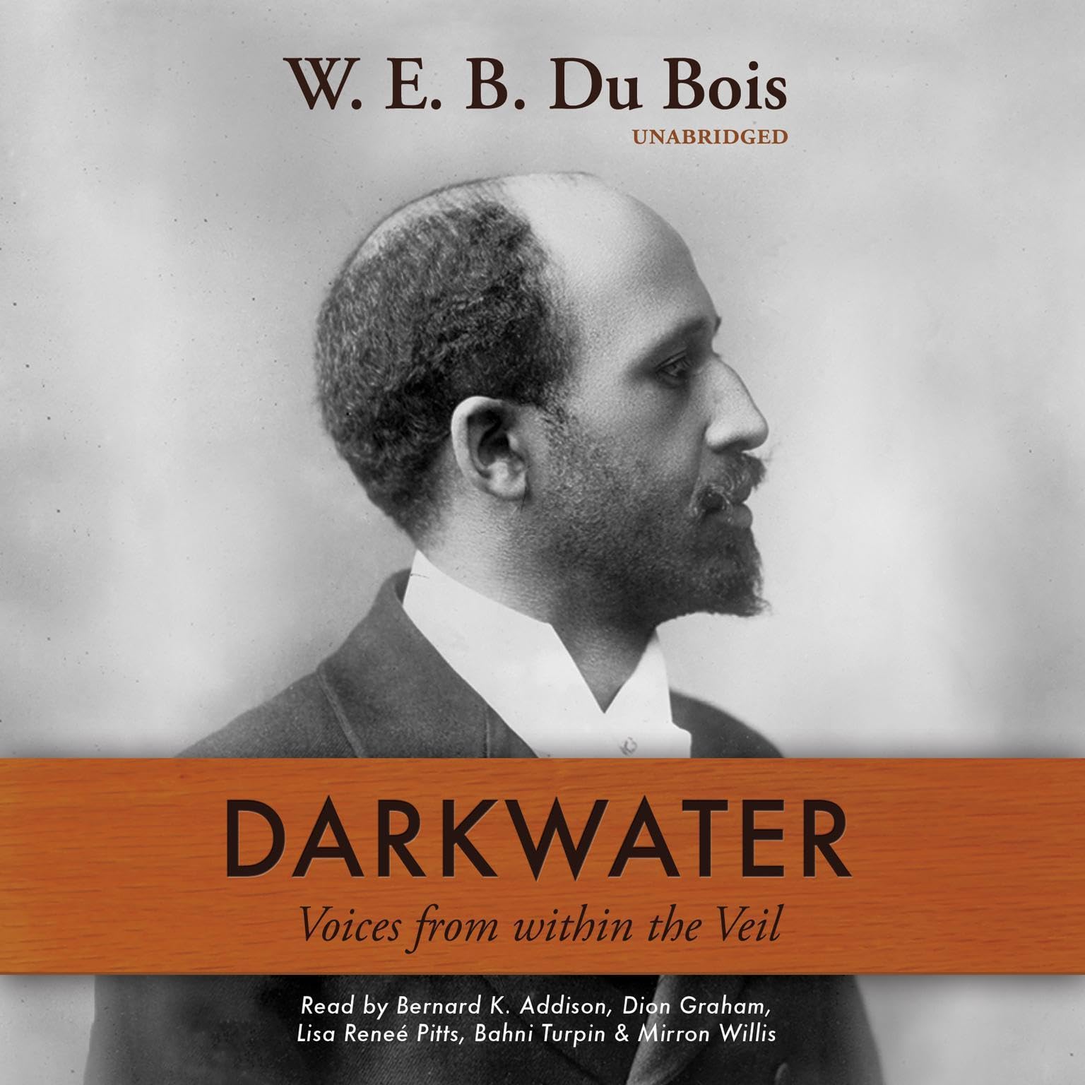 Cover art for Darkwater